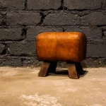 Petit cheval d'arçon, vue rapprochée du cuir.