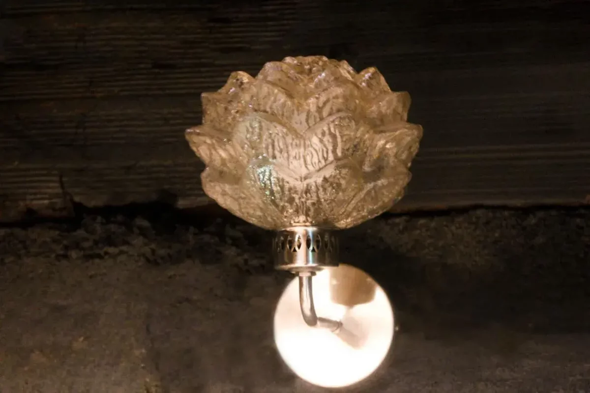 Lampe lotus, pièce de collection.