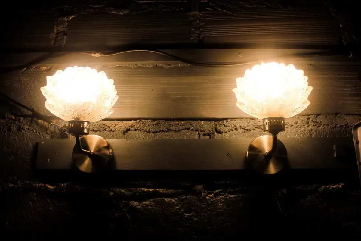 Paire de lampes lotus, design floral vintage.