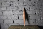 Carotte de tabac rouge, petite taille pointue.